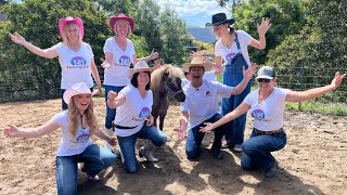 Dancing Gigi  Miniature horse struts her stuff on the dirt dancefloor with The Hustle [upl. by Anerak]