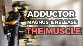 Foam Roll Adductor Magnus and Release the Muscle for Flexibility [upl. by Kline]