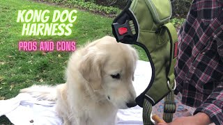 My Dogs Kong Harness  Pros and Cons kongharness largedogharness harness kongharnessreview [upl. by Port]