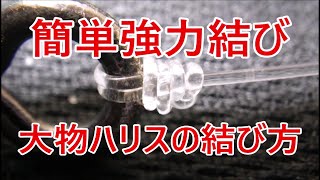 大物仕掛け【大物用漁師結びハリスの結び方】釣り場で簡単に速く結べる！16LB、30LB、90LBで結んで見ました。 [upl. by Lezti114]