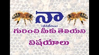 unknown facts honey bees in telugu [upl. by Eiggam626]