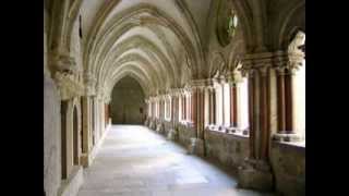 The Cistercian Monks Of Stift Heiligenkreuz  Ubi Caritas [upl. by Coster95]