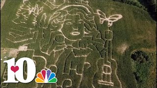 Drone video shows an amaizeing view of a Dolly Parton corn maze [upl. by Barimah810]