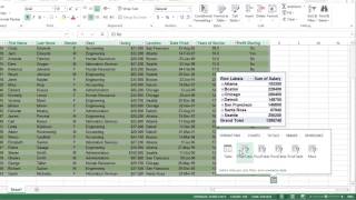 How to Use Pivot Tables in Excel 2013 For Dummies [upl. by Yager]