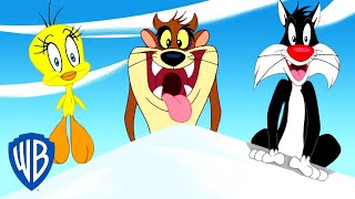 Looney Tunes en Latino  Hora de aventuras con Piolín Taz y Silvestre  WB Kids [upl. by Assirrec]