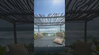 Maldives 6 November 2024 travel shorts maldives viralvideo beach nature sea naturelovers [upl. by Riley]