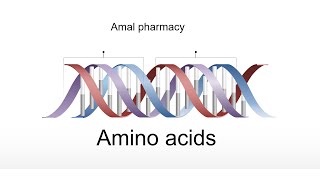 Biochemistry  amino acids الاحماض الامينية [upl. by Kassaraba668]