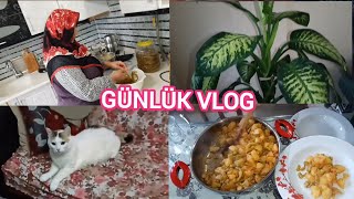 20 Aralık 2023 Günlük Vlog [upl. by Rabbi]