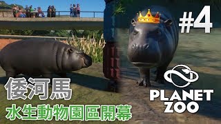 4 倭河馬水棲動物園區開幕《Planet Zoo》 動物園之星 [upl. by Au]