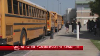 Gilroy student stabs classmate during fight [upl. by Anotyal]