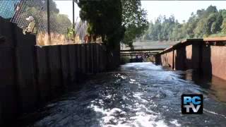 Chambers Creek Fish ladder [upl. by Bj247]