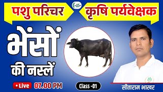 भैंसें की नस्लें L1 Buffalo Breeds  Agri Supervisor  Sitaram Bhakhar  ASP Coaching Jaipur [upl. by Amles]