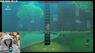 Zelda Breath of the wild Master Mode Part 6 First time playing hard mode botw one beast left [upl. by Anav]