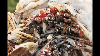 Vanadinite crystals on Baryte blades mineral specimen from Mibladen in Morocco [upl. by Shakti879]