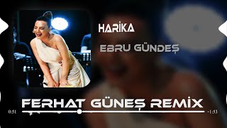 Ebru Gündeş  Harika  Ferhat Güneş Remix [upl. by Ninnahc26]