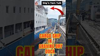 CARGO SHIP Secrets Revealed 🫣 Inside Graving Dry Dock [upl. by Namyw]