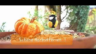 Schöne Herbstferien [upl. by Betty356]