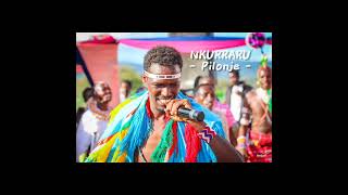 Nkarraru Pilaz Pilonje New hit song samburu maasai [upl. by Borchert]