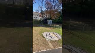 Cleaned up in an hour We did that backyard raking cleanupday homeowner [upl. by Louanne228]