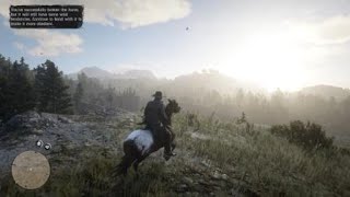 Red Dead Redemption 2  RDR2  HORSEMAN 10 CHALLENGE  WILD APPALOOSA  LOCATION  RARE HORSE [upl. by Gardal869]