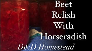 Canned beet relish with horseradish [upl. by Lladnik]