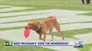 Zeke the Wonderdog unites UM MSU fans ahead of game [upl. by Tevlev]