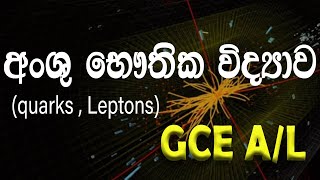 Particle Physics for AL students in SINHALA Part 1  Dileep Sooriarachchahi  Physics [upl. by Anola]