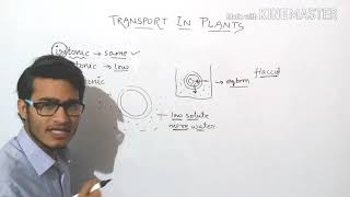 Plasmolysis explained in detail turgid  flaccid and plasmolysed cells [upl. by Roshelle]