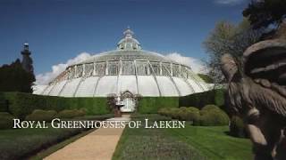 Royal Greenhouses of Laeken in Belgium [upl. by Randa]