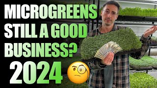 Should You Start A Microgreens Business In 2024 The Truth [upl. by Suolhcin]