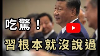 习根本就没说这句话｜星舰6是政治路演发射｜马斯克是DOGE狗狗币庄家｜乌克兰放飞自我川普虚张声势不敢打仗 [upl. by Wachter724]