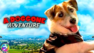 A DOGGONE ADVENTURE  Full Family Adventure Dog Movie [upl. by Anyahc]