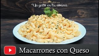 Macarrones con Queso  Receta Fácil y Económica [upl. by Ahsiema812]