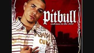 2010 YEP YENI YABANCI SARKI DINLEMEYEN BIN PISMAN PITBUL DAN [upl. by Yoreel]