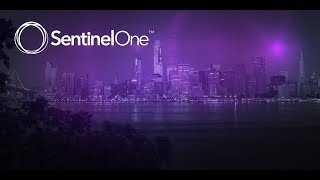 SentinelOne Next Generation Endpoint Protection Animated Overview [upl. by Lola]