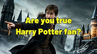 Test Your Wizarding Wits The Ultimate Harry Potter Book 1 Challenge [upl. by Fotina268]