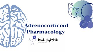 PA School Pharmacotherapeutics Adrenocorticoids [upl. by Leifer]