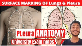 Surface marking of lungs and pleura anatomy  Parietal pleura anatomy [upl. by Tonnie]