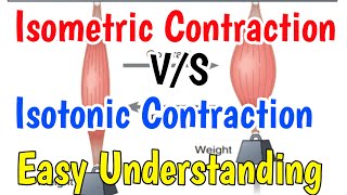 Isometric contractionIsotonic contraction Isometric contraction vs isotonic contraction [upl. by Whittaker]