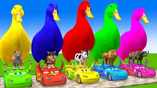 5 Giant Duck CartoonCowElephantGiraffeTigerLion Paint Wild Animals Crossing Fountain Animation [upl. by Ecirad306]