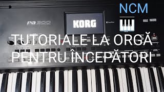 TUTORIAL ZII VASILE ZII  Tutoriale La Orgă Pentru Începători🎹👍 [upl. by Xanthe]