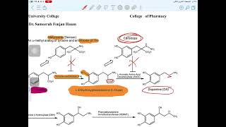 Adrenergic Agent organic pharmacy p1 [upl. by Graaf460]