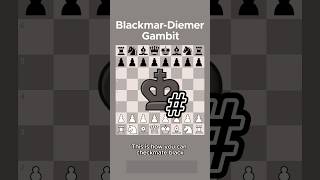 BlackmarDiemer Gambit 😎😎😎chessgambit chessgambits [upl. by Lobel281]