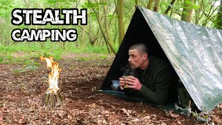 Wild Stealth Camping Alone in the Woods With Cheap Gear I Got SCARED [upl. by Warram]