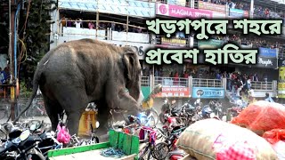 খড়গপুর শহরে প্রবেশ হাতিরkharagpur kharagpurnews kharagpurelephantnews kharagpurvlogs [upl. by Ahsienauq]