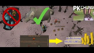 OSRS Wilderness BOT PKing 3mhour guaranteed [upl. by Gnet47]