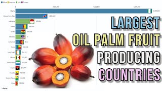 Largest oil palm fruit producing countries [upl. by Carlo]