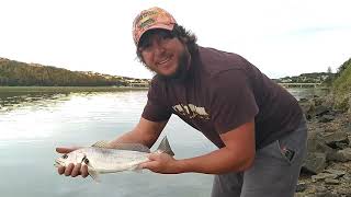 Fishing for KobMulloway at the Boesmansrivier [upl. by Hendrick]