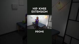 Hip Knee Extension Prone exercise rehabilitation youtubeshorts physicaltherapy exercisetips [upl. by Hpeosj]