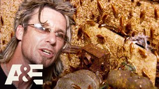 Top 3 HORRIFYING Roach Infestations Part 2  Billy the Exterminator  AampE [upl. by Zoeller134]